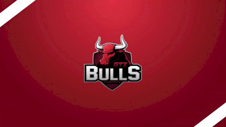 GTZ Bulls faz alteração no plantel
