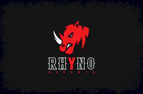 Rhyno anuncia nova equipa de Valorant