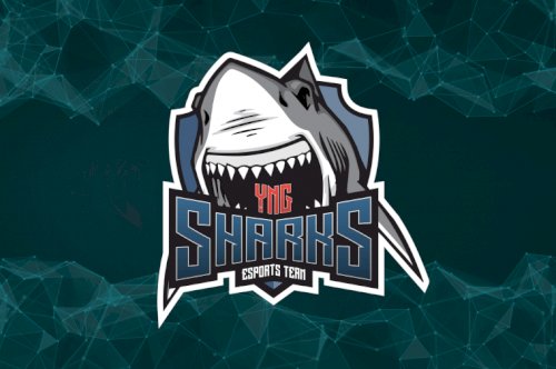 Sharks anuncia novo jogador 