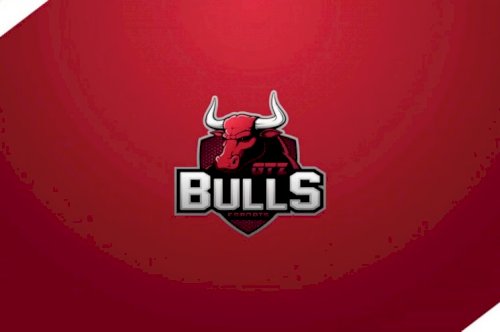 GTZ Bulls faz alteração no plantel